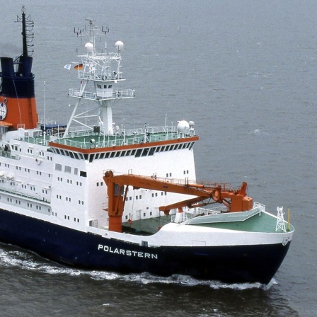 MOSAiC-Mission - Forschungsschiff Polarstern startet in die Arktis