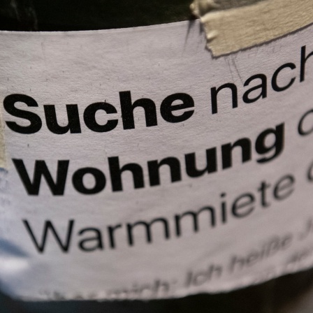 Zettel an einem Baum mit der Aufschrift &#034;Suche Wohnung&#034;