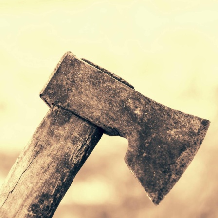 Close-Up in Sepia einer alten Axt.