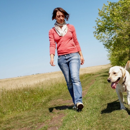 Eine Frau geht mit einem Golden Retriever in der Natur spazieren. 