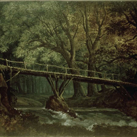 Dichter Wald mit Brücke über einen Bach