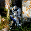 Zwischen zwei Grabsteinen liegen Löffel auf einer Wiese. Die Fotografie wird überlagert von einer Grafik aus orangen Punkten.