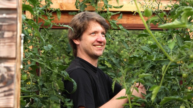 Hobbygärtner Jan Matthießen hegt und pflegt seine Tomatenpflanzen, die er aus sortenreinem Saatgut selbst aufzieht.