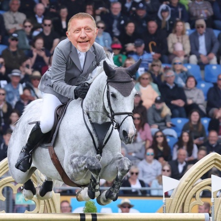 Boris hat kein Pferd