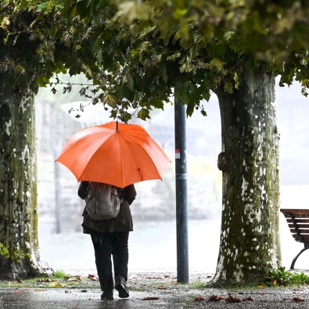 Ein Mensch mit Schirm im Regen