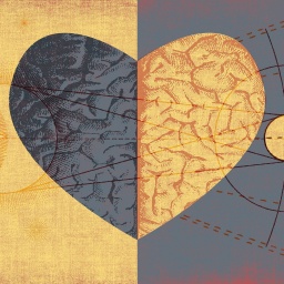 Illustration: Ein Herz mit der Struktur eines Gehirns, links daneben die Sonne, rechts daneben der Mond.