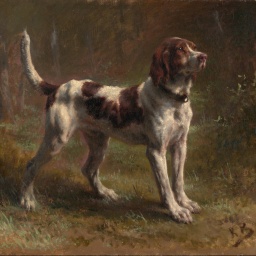 Ein Limier Briquet Hund, ca. 1856, Öl auf Leinwand