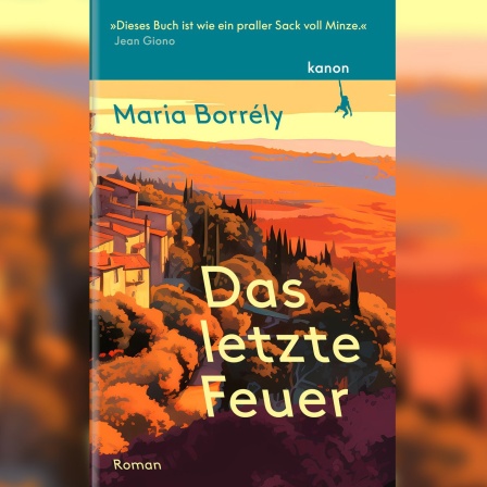 Buchcover: "Das letzte Feuer" von Maria Borrély
