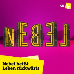Das Cover der dritten Staffel von "Nebel heißt Leben rückwärts"