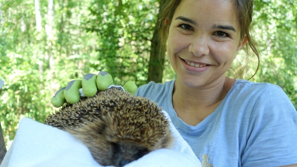 Anna, Paula, Pia und die wilden Tiere Wer lebt im Garten? ARD Mediathek