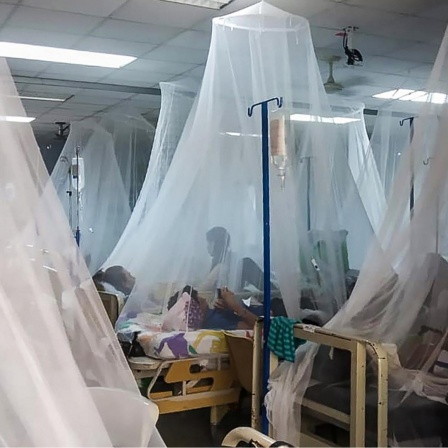Angehörige sitzen bei Patienten, die an Dengue-Fieber erkrankt sind. Die Betten sind mit Mückennetzen geschützt.