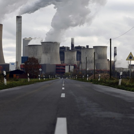 Bericht des Weltklimarats IPCC