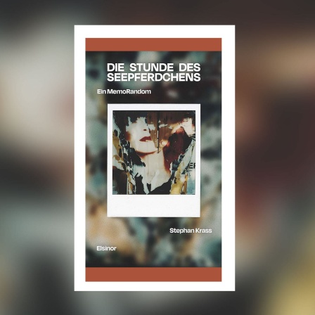 Stephan Krass - Die Stunde des Seepferdchens. Ein MemoRandom