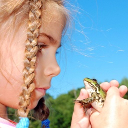 Franziska und der Frosch | Eine Märchengeschichte ab 6 Jahren