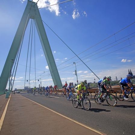 Die Teilnehmer des Radrennens Rund um Köln