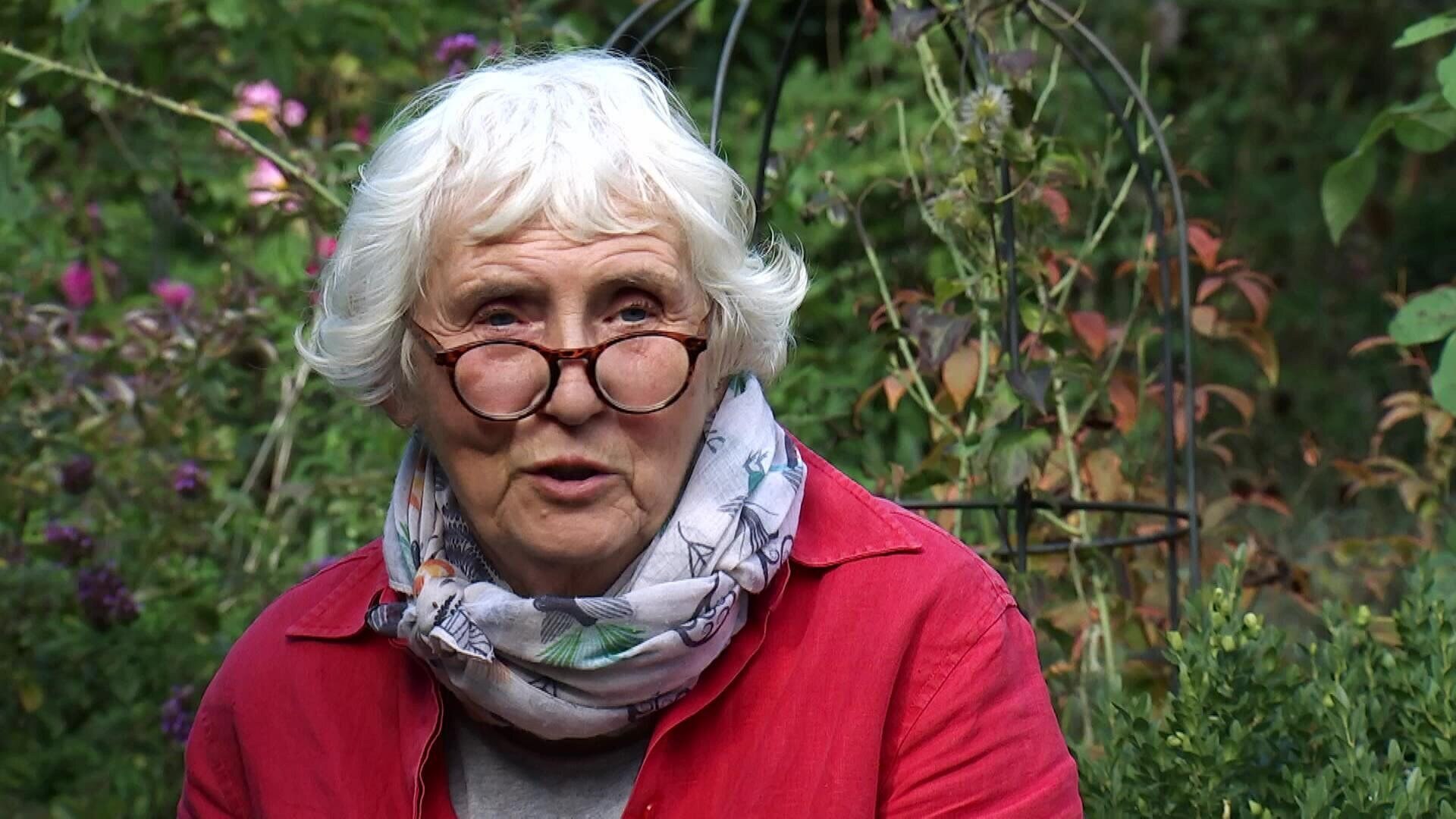 MDR Garten Ein pflegeleichter, altersgerechter Staudengarten ARD