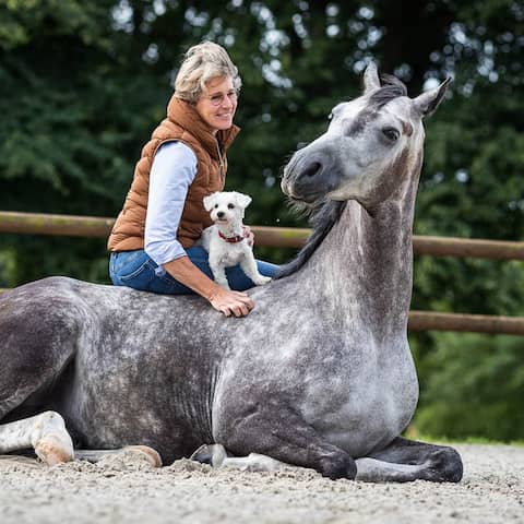 Eine Frau sitzt auf dem Rücken eines Pferds, das es sich in der Koppel auf dem Sandboden gemütlich gemacht hat - ein Hund sitzt auf ihrem Schoß. Das Bild zeigt Anne Krüger-Degener: Sie hat sich auf die Kommunikation mit Tieren spezialisiert - in ihrer Tierschule. Sie ist überzeugt: Dialog bringt eine gute Beziehung zwischen Mensch und Tier.