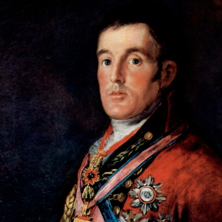 Portrait des Herzog von Wellington von Francisco Goya