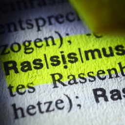 Das Wort Rassismus in einem Wörterbuch