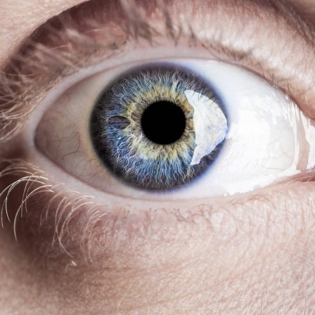 Nahaufnahme eines blauen Auges.