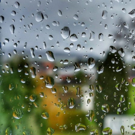 Regentropfen stehen auf einer Fensterscheibe.