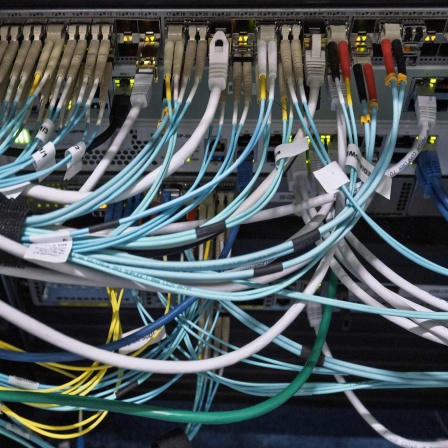 Viele Kabel und Stecker in einem Rechenzentrum. 