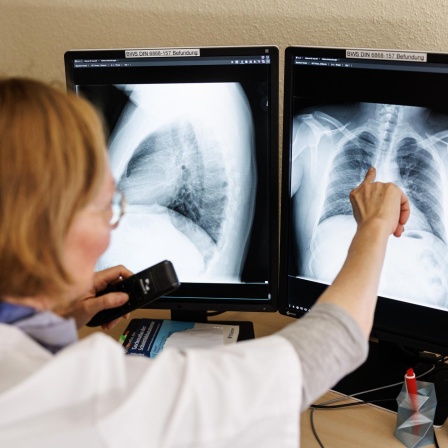 Innere Uhr, Schnelltest-Zuverlässigkeit, Corona und Tuberkulose, Persönlichkeit und Musikvorlieben