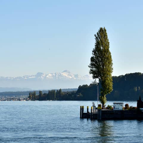 Blick auf die Insel Maianu im Bodensee (Foto: imago stock&people )