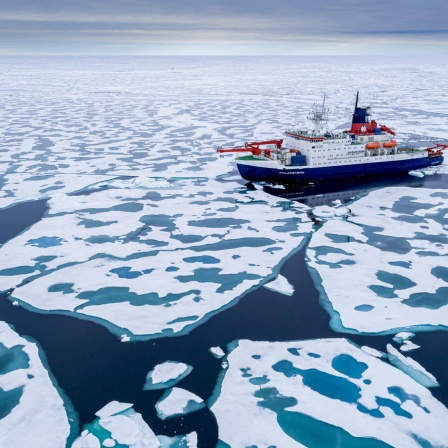Ein Jahr in der Arktis - Miriam Stumpfe im Gespräch mit Polarforscher Markus Rex