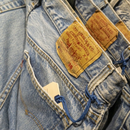 Vintage-Jeans von Levi-Strauss