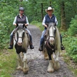 Zwei Reiterinnen auf einem Reitweg