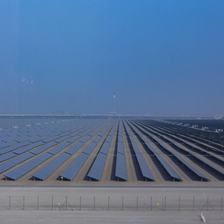 Solarmodule in der Wüste, der grössten Solaranlage der Welt in Dubai