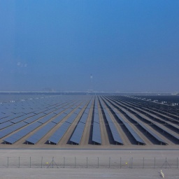 Solarmodule in der Wüste, der grössten Solaranlage der Welt in Dubai