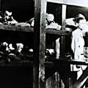 Gefangene in einer Baracke in Auschwitz.