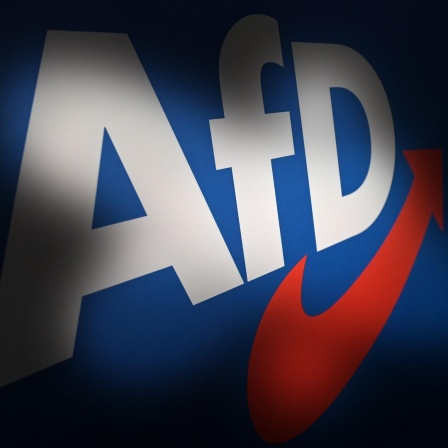 Das AfD-Logo