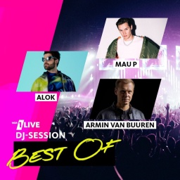 Best Of Teil 2 mit Mau P,  Alok & Armin Van Buuren