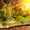 Ein aufgeschlagenes Buch liegt auf einem Baumstumpf. 