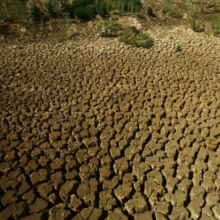 Vor Trockenheit rissige Erde während einer Dürre im Sudan.