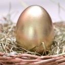 Goldenes Ei in einem Nest