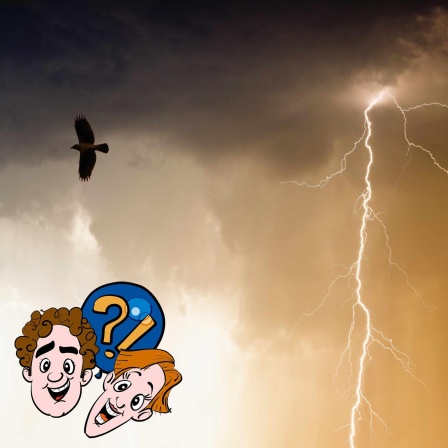 Können Vögel bei einem Gewitter in der Luft von einem Blitz getroffen werden?