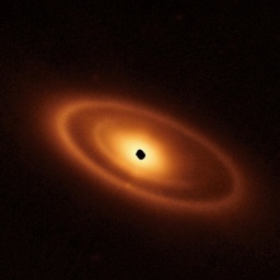 Weltraum-Teleskop-Blick in ein junges Planetensystem? Der Stern Fomalhaut ist von einer stark strukturierten Staubscheibe umgeben.
      