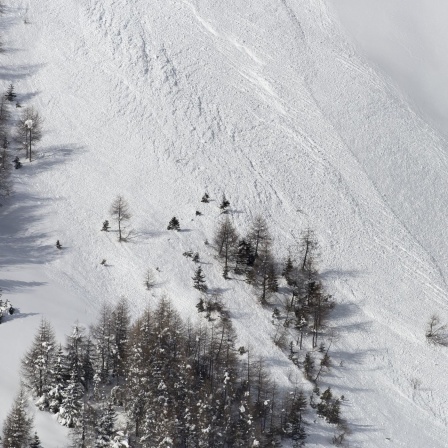 Davos - da wo die Lawinen erforscht werden
