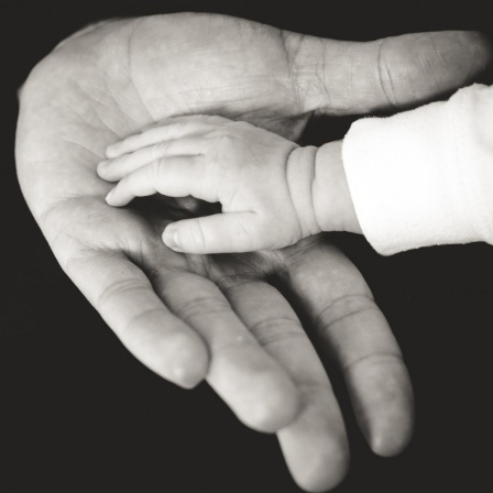 Ein Kind legt seine Hand in die Hand seines Vaters.