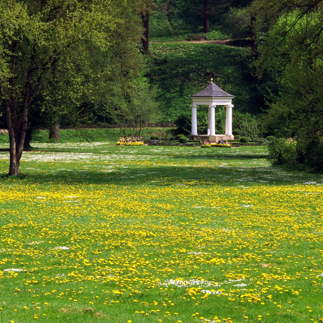 Weltgeschichte vor der Haustür · Weltgeschichte vor der Haustür Der