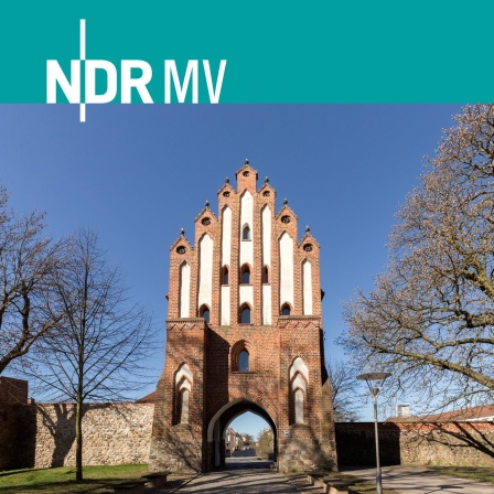 Vorschaubild für den Podcast des Haff-Müritzstudios Neubrandenburg auf NDR 1 Radio MV