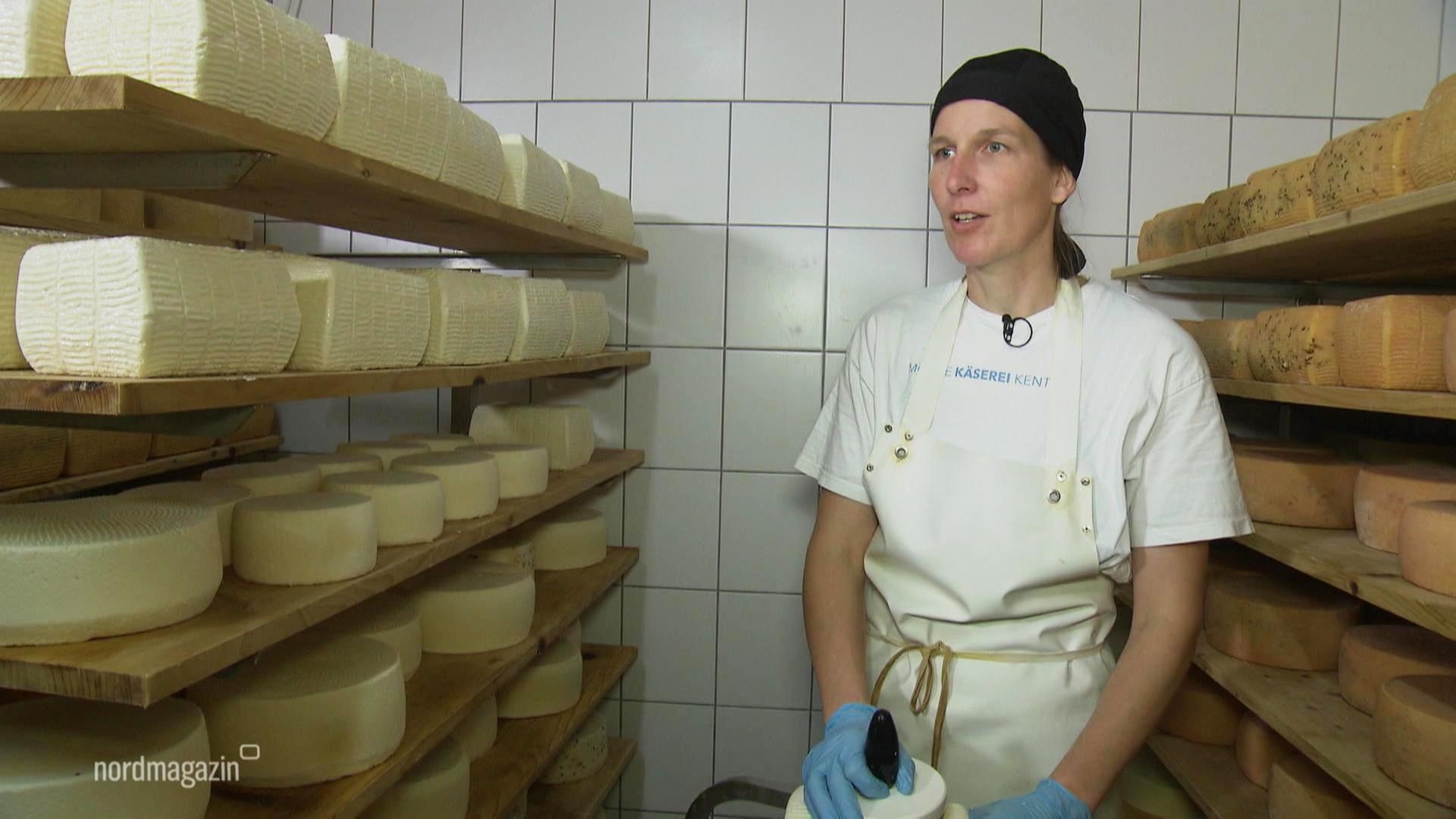 Abert JOLLYT Käse Aus Polycarbonat - Farbige Tierformen Mit Transparentem Behälter
