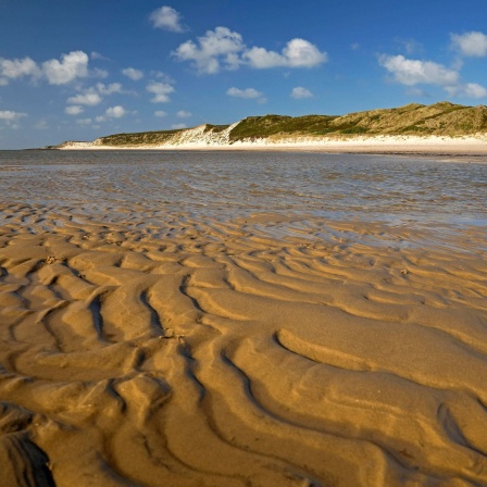Sandstrand mit Muster: Wie entstehen am Strand die typischen Linienmuster im Sand (&#034;Rippel&#034;)?