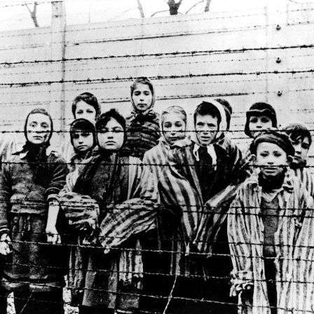 Als Kind in Auschwitz - Die letzten Überlebenden erinnern sich