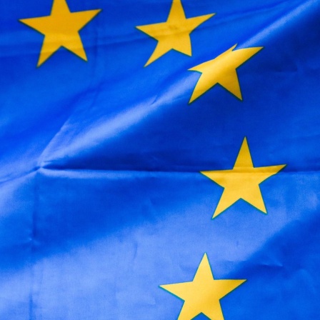 Die Zukunft eines Kontinents - Wie soll es weitergehen mit Europa?