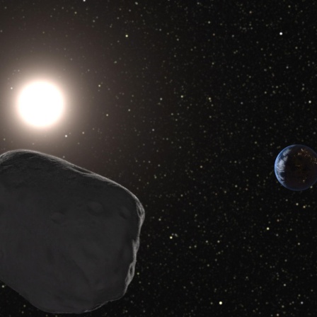 Asteroiden als Wasserspeicher, Suche nach der Hit-Formel, Kartiertes Erdschwerefeld, Bedrohte Bestäuber